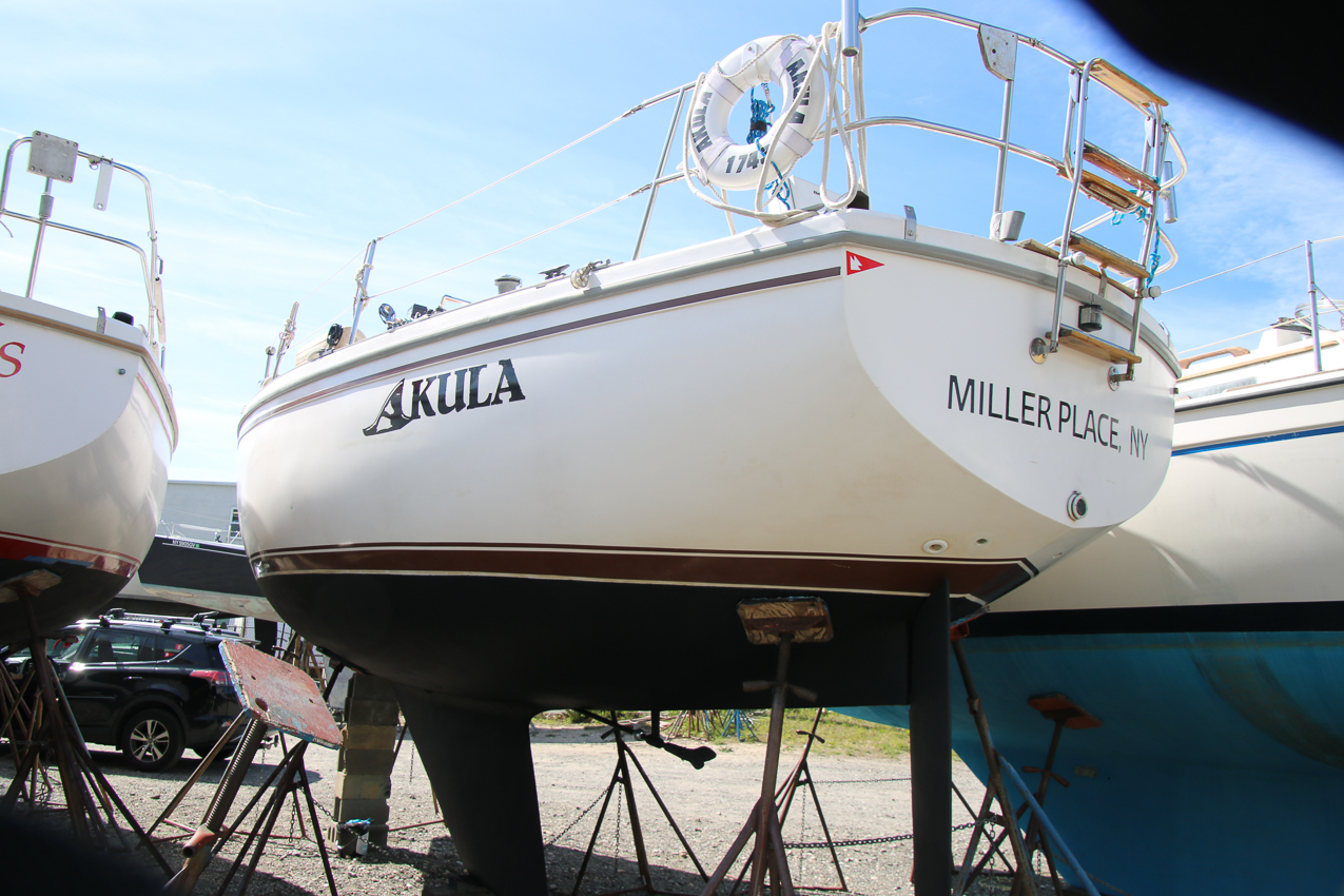 Akula winter/spring 2020  ~~  Ready to splash