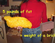 5 lbs of fat or 1 brick  ~~  
