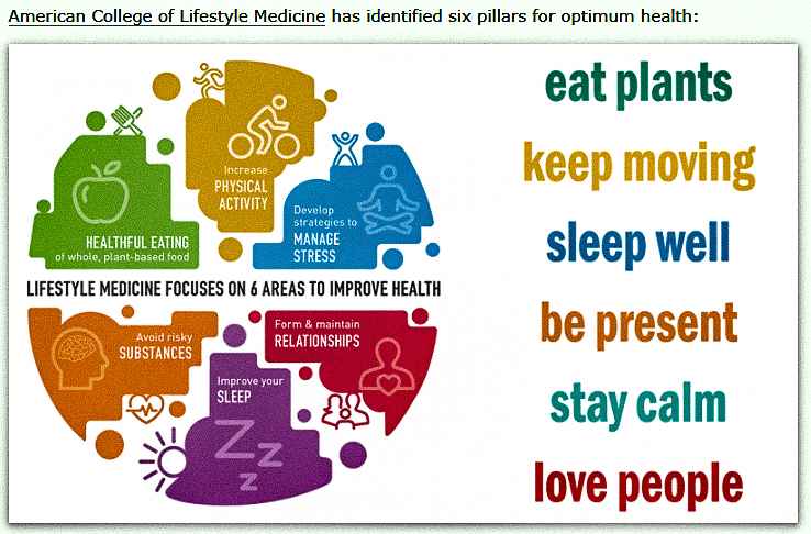 American College of Lifestyle Medicine 6 Pillars of Health  ~~  
