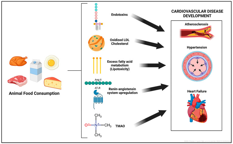 Atkins Carnivore Keto low carb same death result