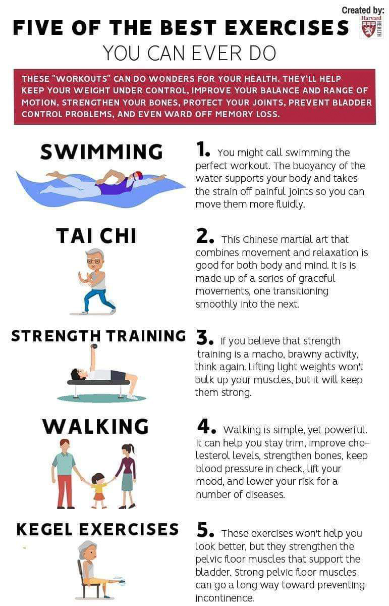 Best Exercise You Can Ever Do  ~~  
