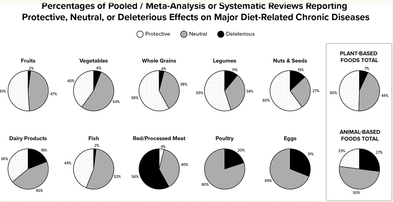 Dr Greger Pooled Meta Analysis 2024  - Food Groups  ~~  