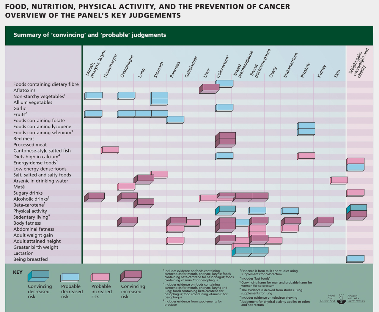 Food Nutrition  Physical Activity  and the Prevention of Cancer 2007  ~~  