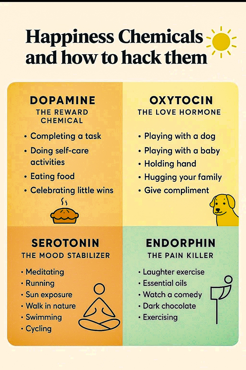 Happiness Hormones  ~~  