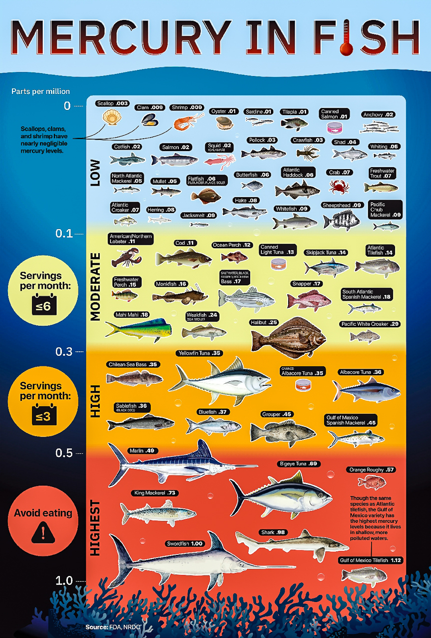 Mercury in Fish 2025  ~~  