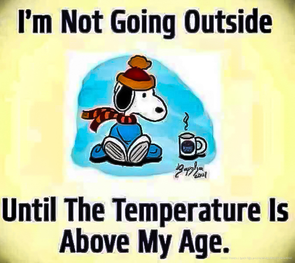 Not going out until the temperature is above my age -Snoopy Jan 2024.jpg