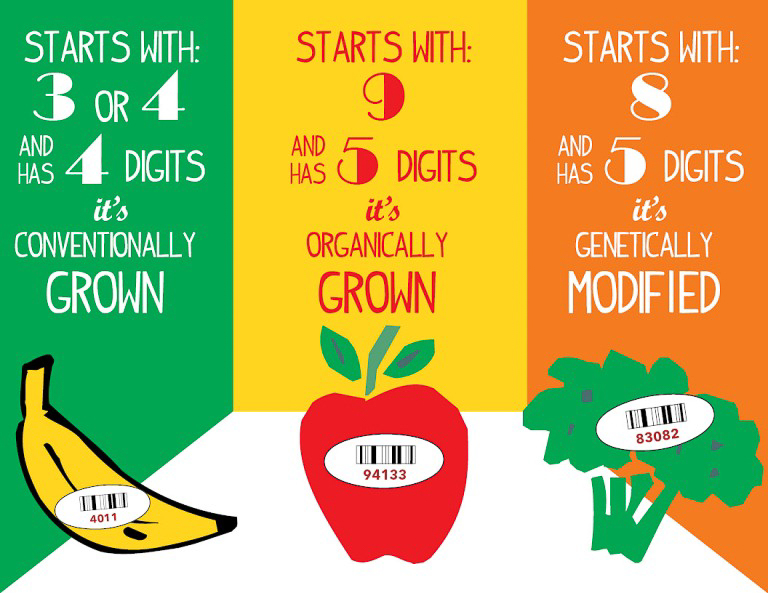Food Codes  ~~  