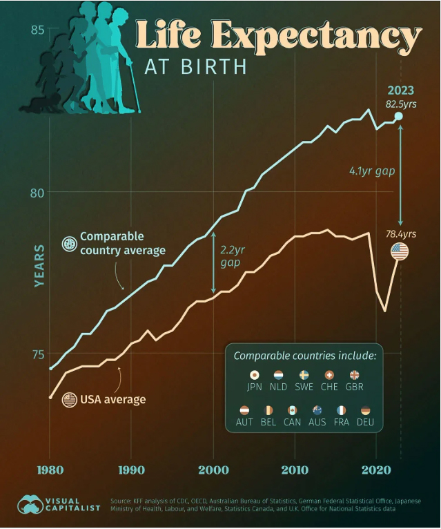 Life Expectancy 2025  ~~  Health and Medical Slides