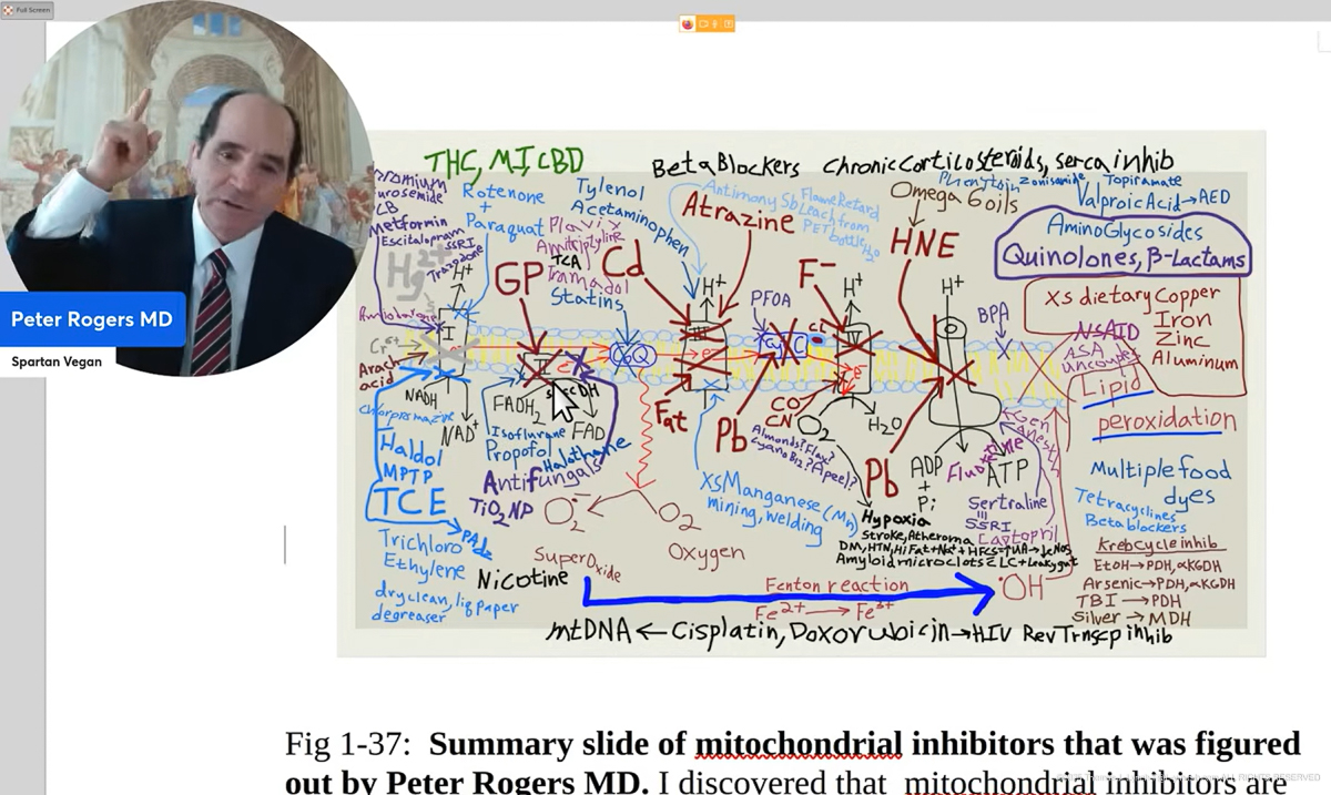 Dr Peter Rogers - Hidden History of Nutrition Health and Science