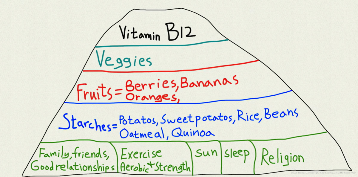 Spartan Vegan Health Pyramid