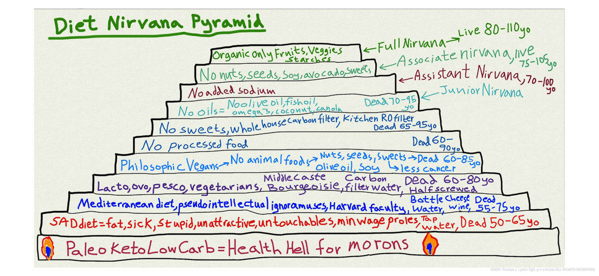 Dr Peter Rogers MD - Diet Nirvana Pyramid