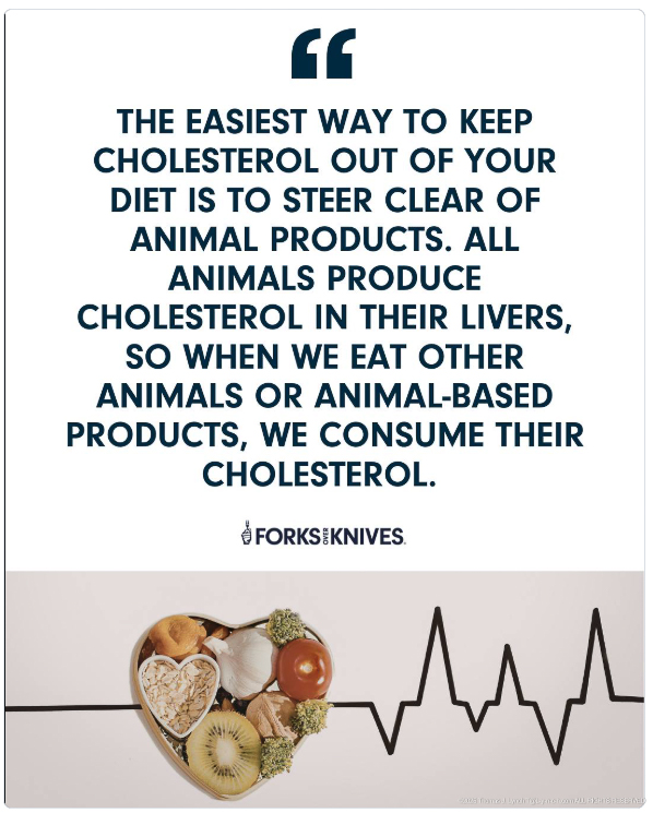 easiest way to lower cholesterol prevent CHD