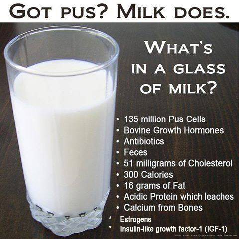 GOT MILK? and Pus and hormones