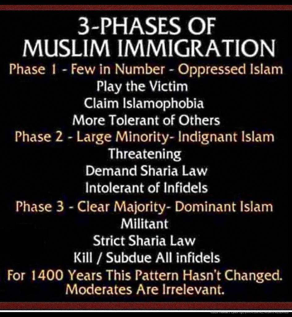 3 Phases of Muslim Immigaration Feb 2026