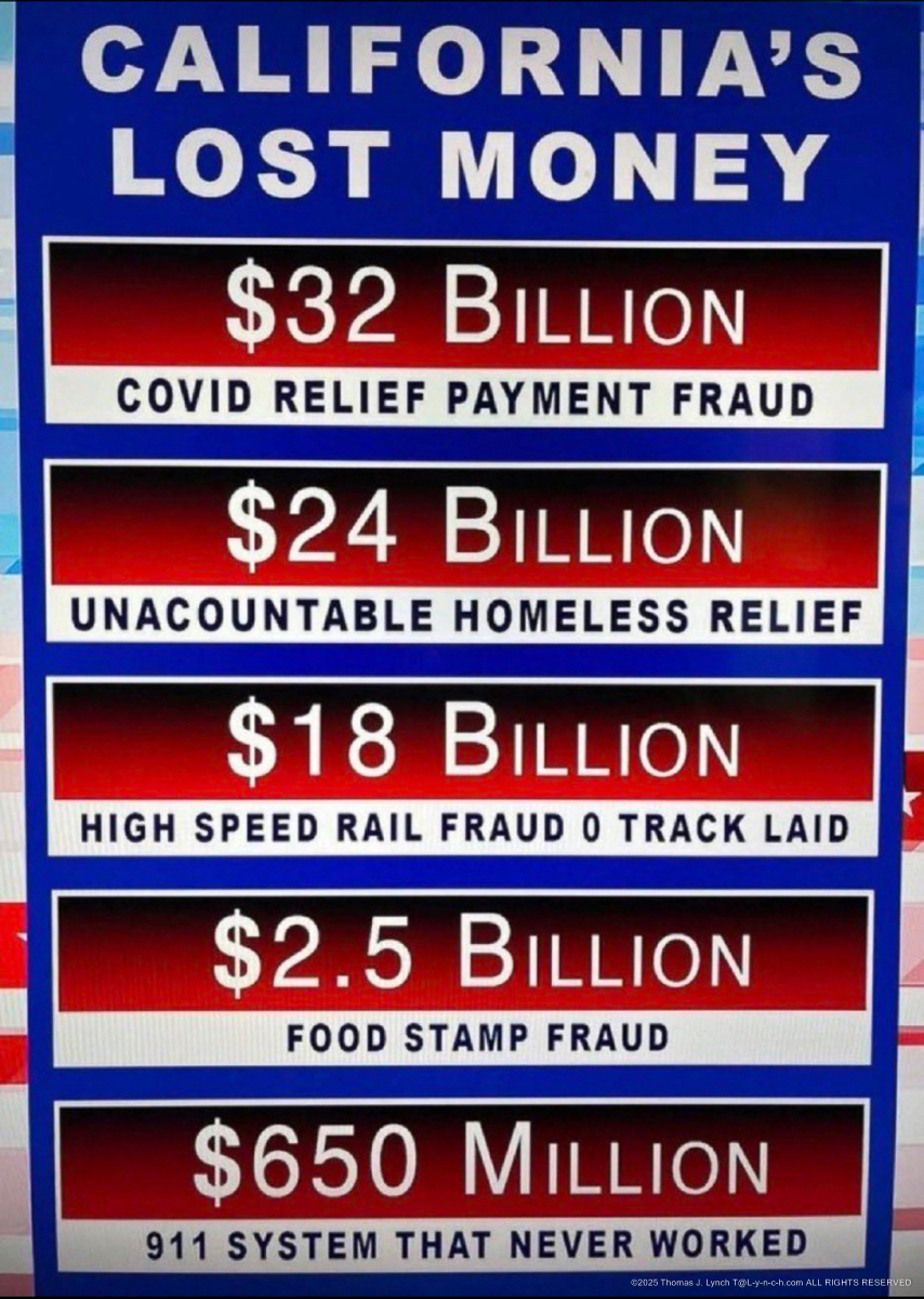 Califronia and Newscums lost money