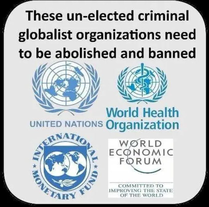 Criminal Globalist Network  UN WHO WEF IMF  ~~  