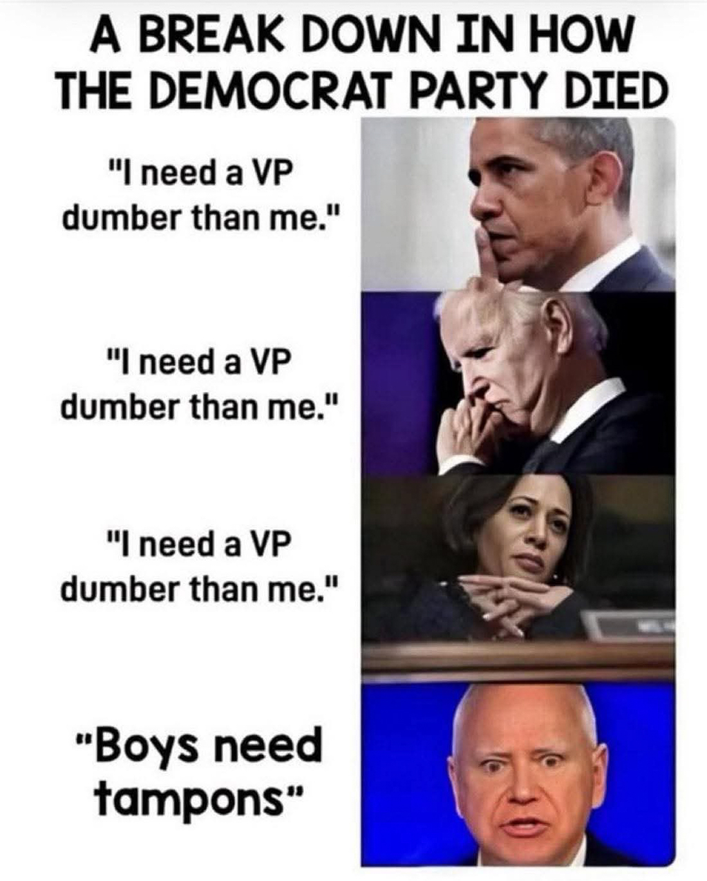 Democrat downfall  ~~  