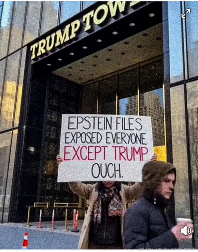 Epstein exposed everybody BUT TRUMP