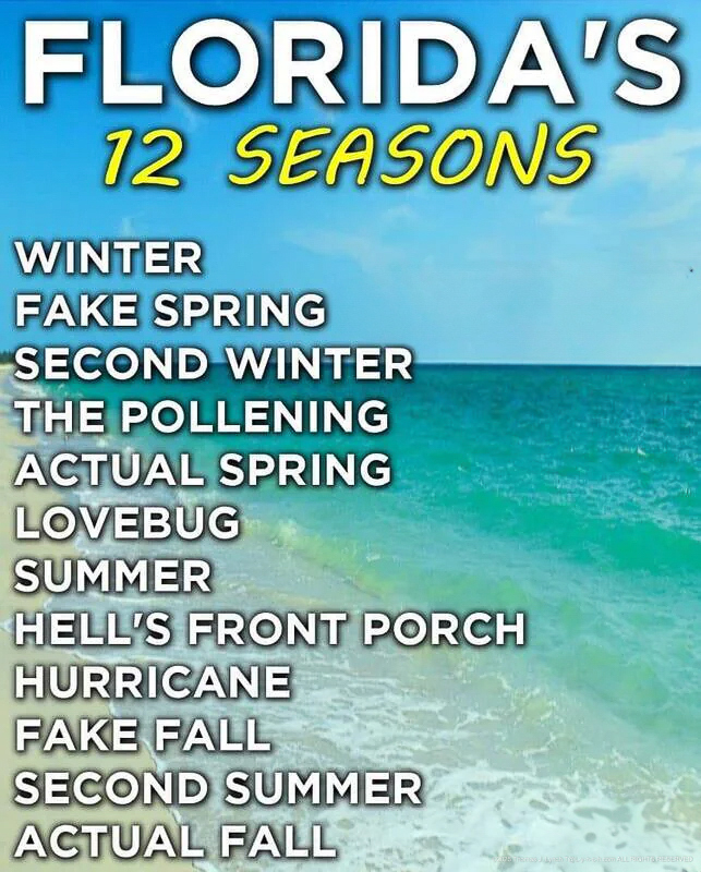 Florida 12 Seasons