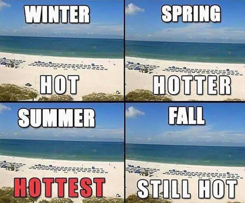 Florida Seasons Hotness  ~~  