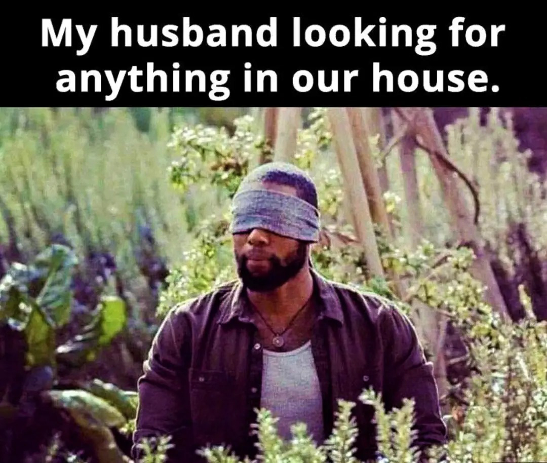 Husband Looking for anything in the house  ~~  