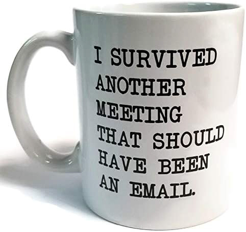 I survived another meeting that should have been and email.jpg  ~~  