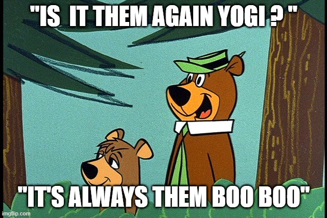 Is it them Yogi - its always THEM Boo Boo  ~~  