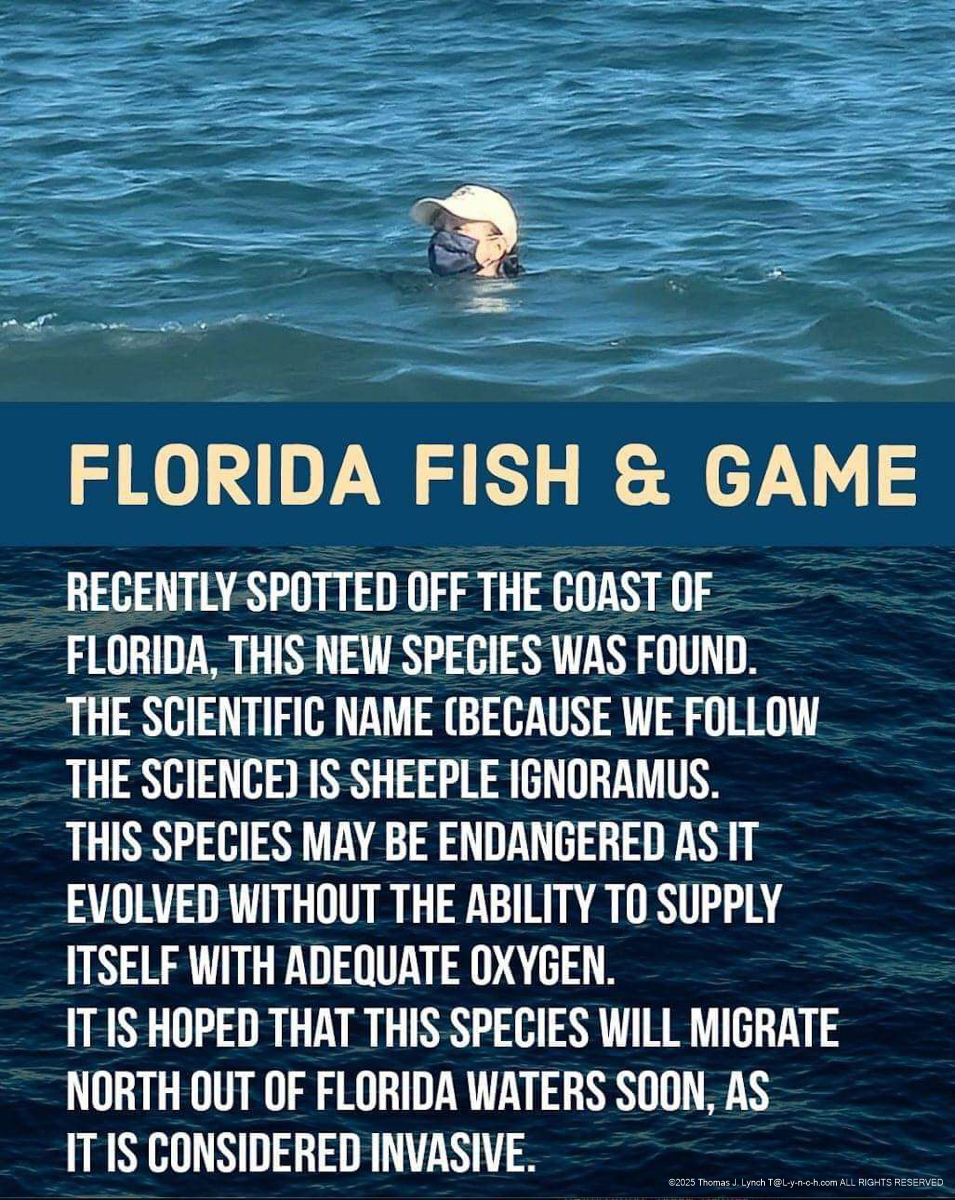 Liberal Fish - Florida Fish and Game spotted