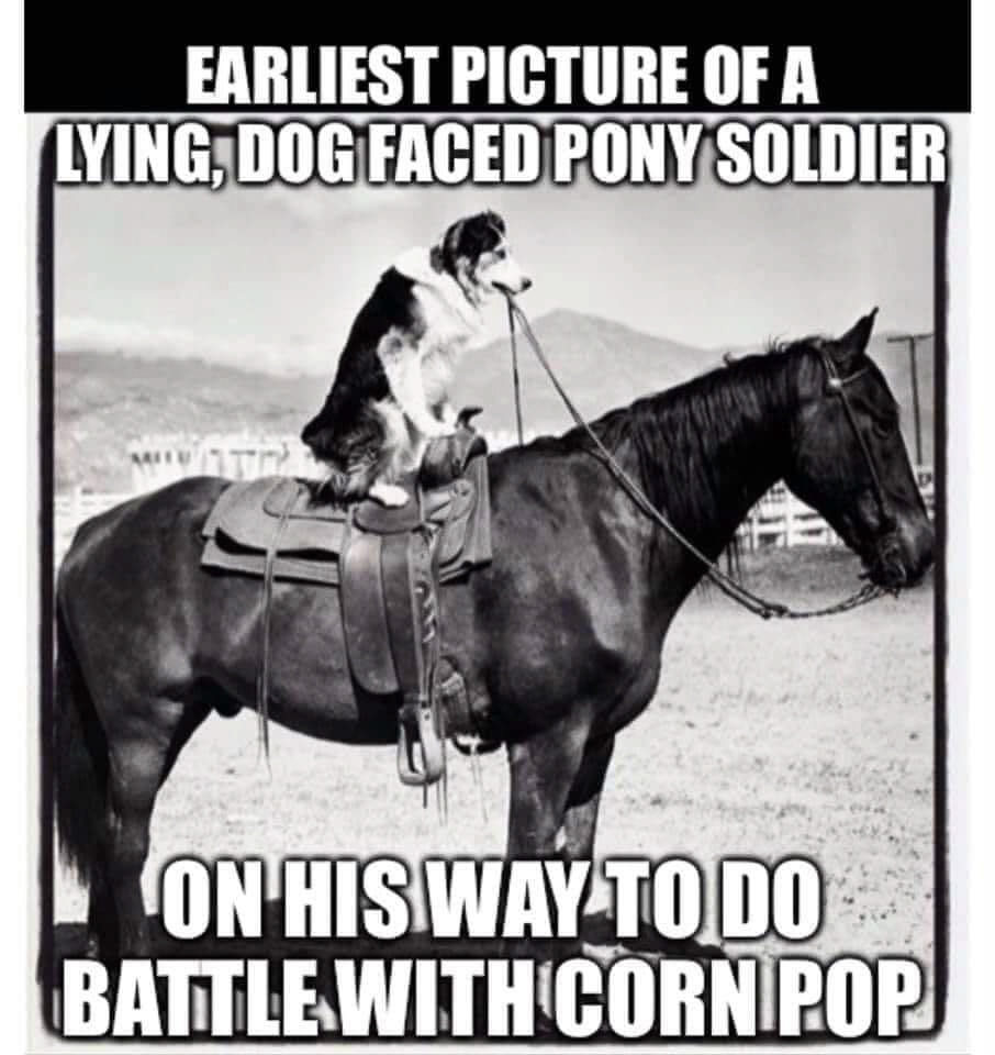 Lying dog faced poney soldier  ~~  