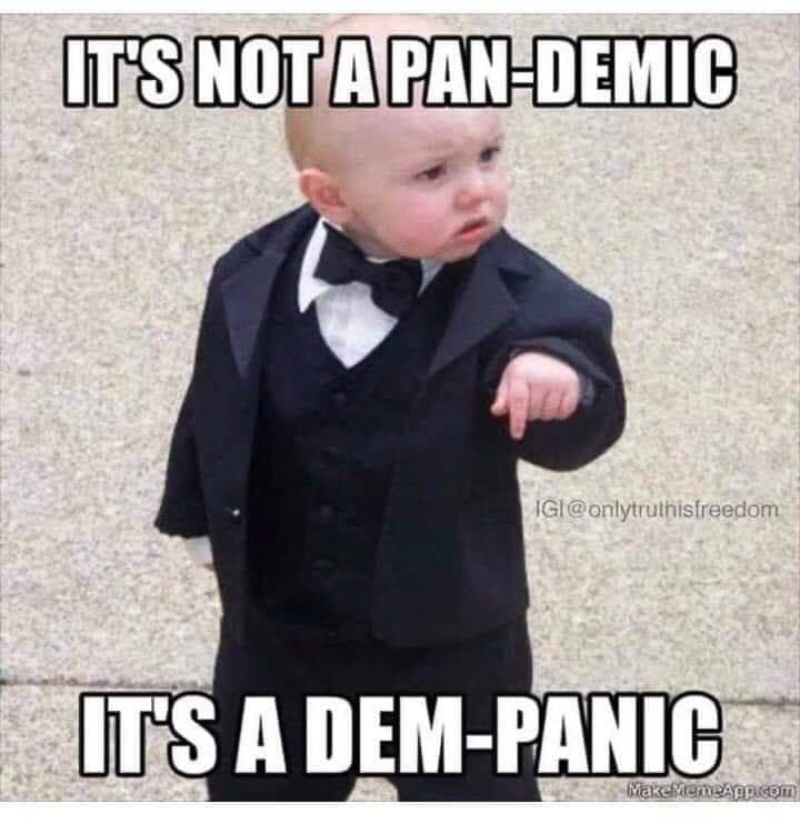 Pandemic its a dem-panic.jpg  ~~  