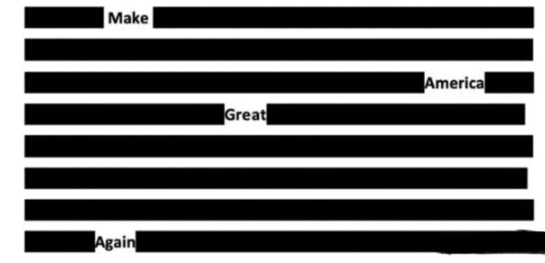 Redacted almost MAGA 20222  ~~  