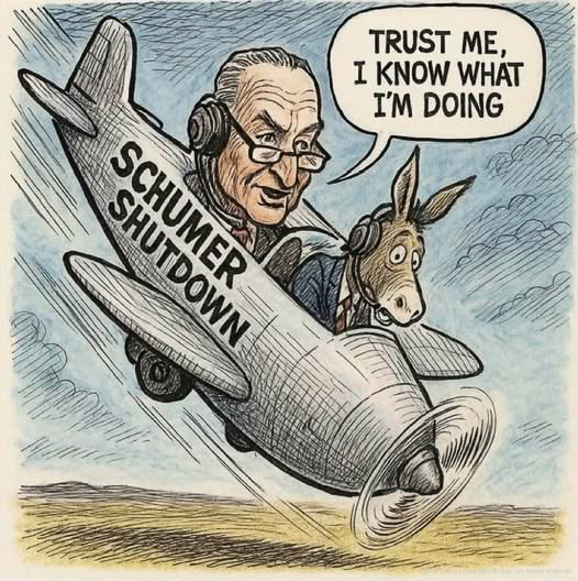 Schumer crash diving the democrat party