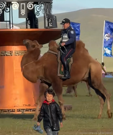 NYC Police under Mandami the Muslim Mayor