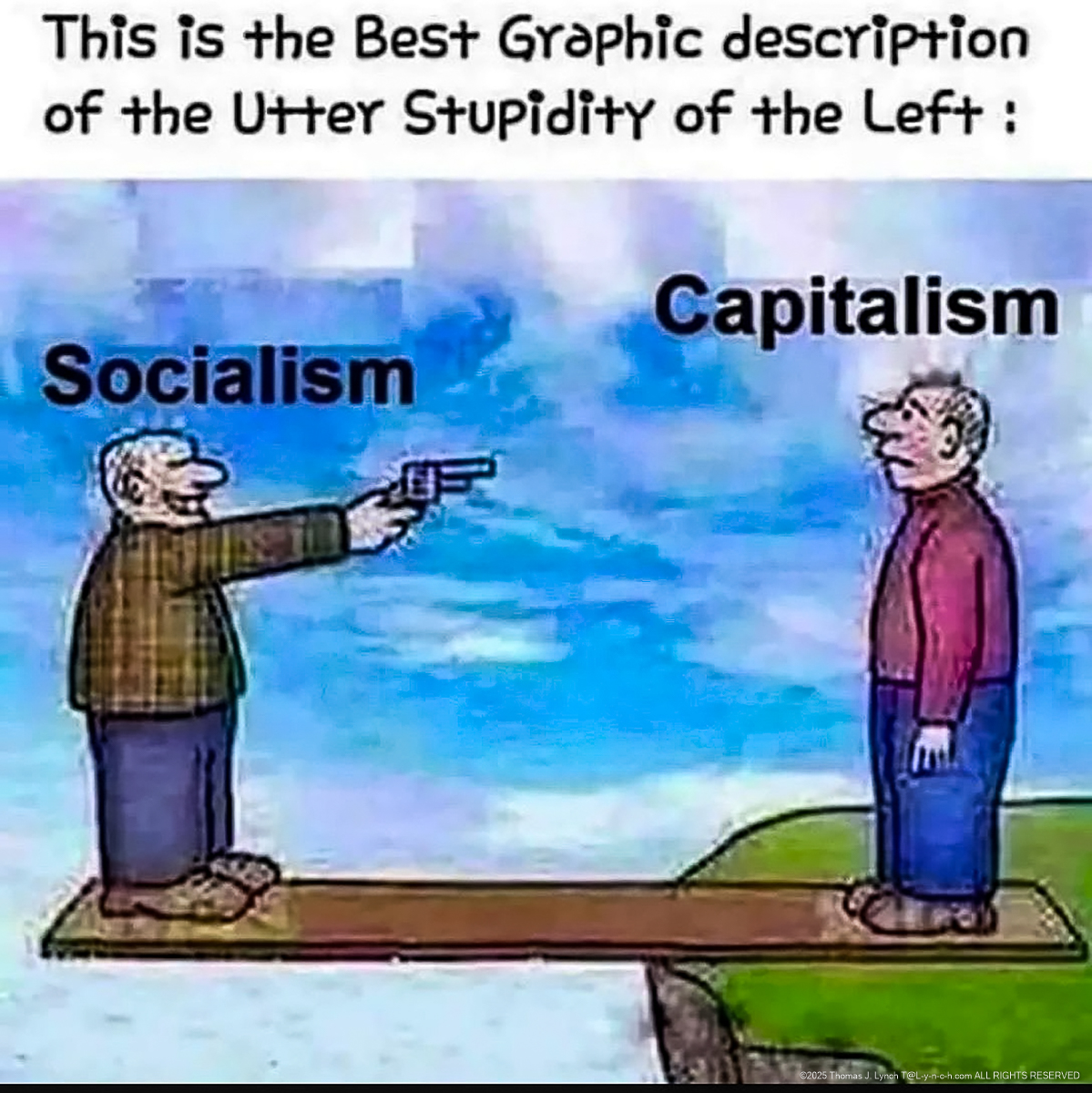 Socialism and Capitalism in a picture