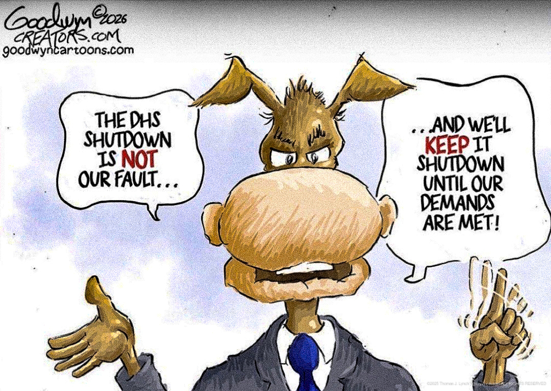The Democrat DHS Shutdown