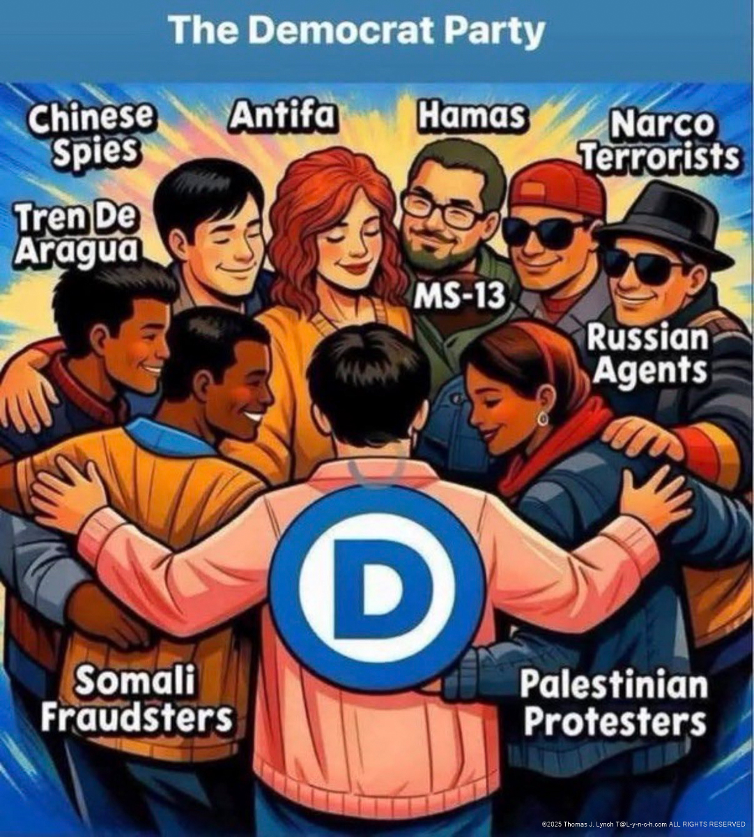 The real democrat party
