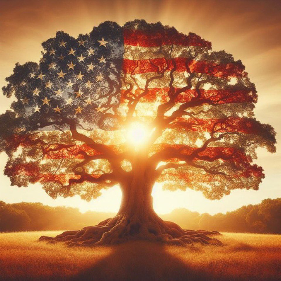 Tree with American Flag  ~~  