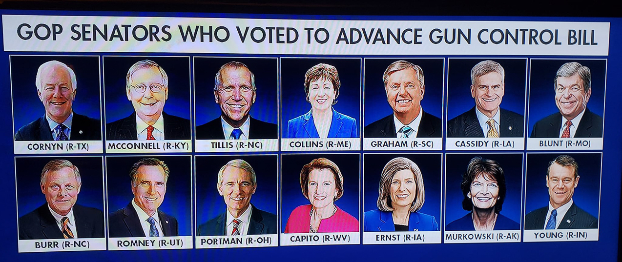 Voted fro gun control the RINOs of 2022  ~~  