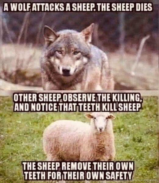 Wolf and Sheep and tkae away the teeth