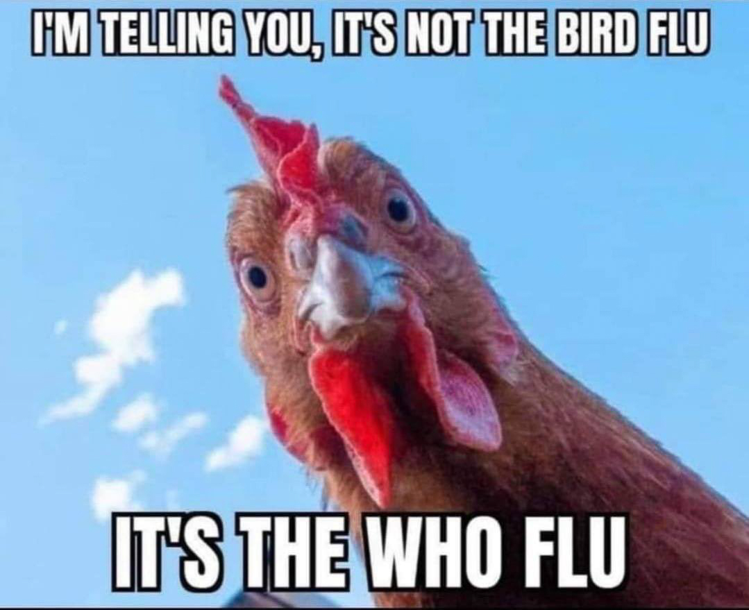 not the Bird Flu its the WHO FLU  ~~  