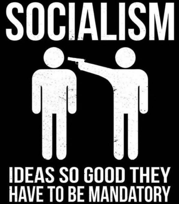 sOCIALISM IDEAS SO GOOD THEY ARE MANDATORY  ~~  