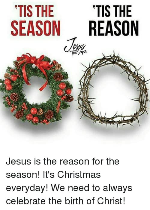 this is the season and this is the reason 2.jpg  ~~  