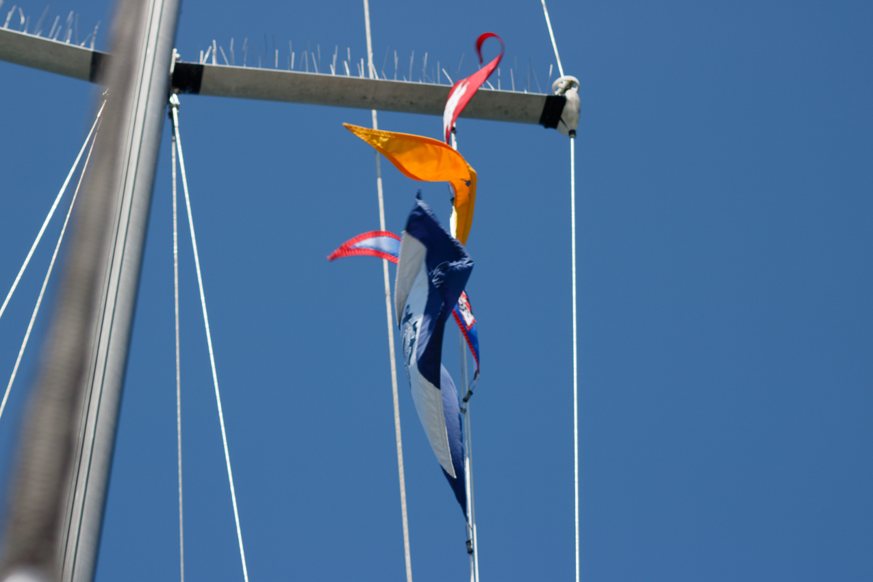   ~~  MSSA 2017 Branford CT Cruise with s/v Akula