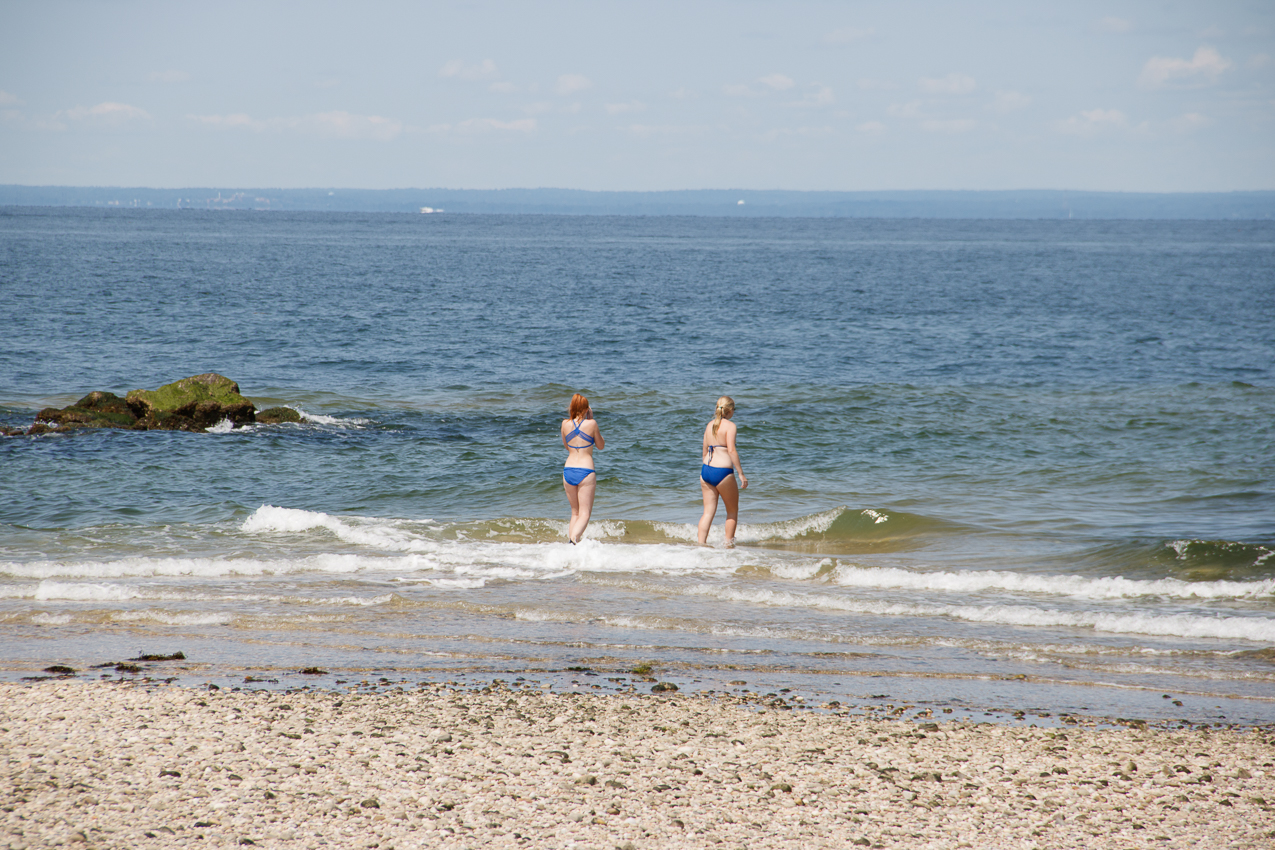 MSSA 2017 Flax Pond Race, Cruise, Social Day  ~~  Flax Pond August 26, 2017