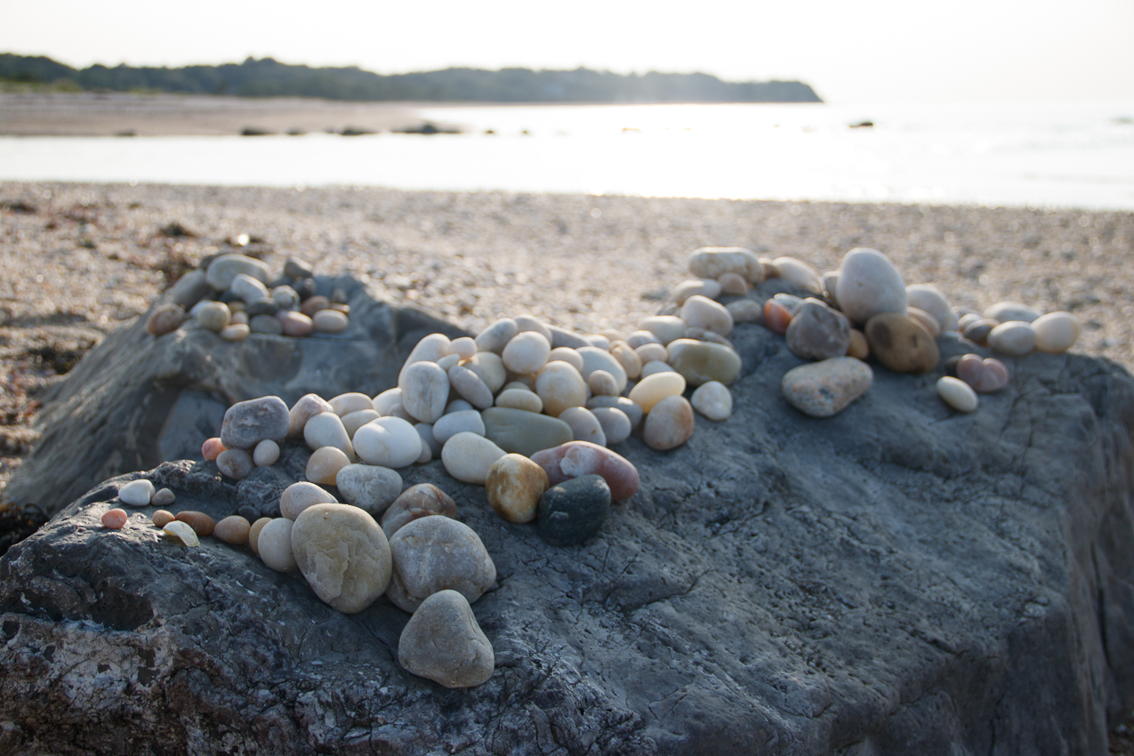 MSSA 2017 Flax Pond Race, Cruise, Social Day  ~~  Flax Pond August 26, 2017