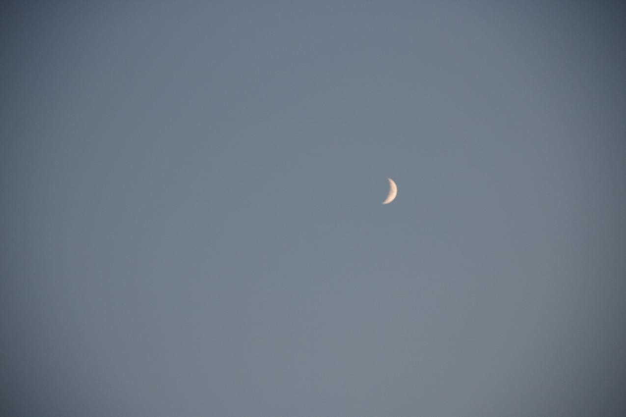 MSSA 2017 Flax Pond Race, Cruise, Social Day  ~~  Flax Pond August 26, 2017