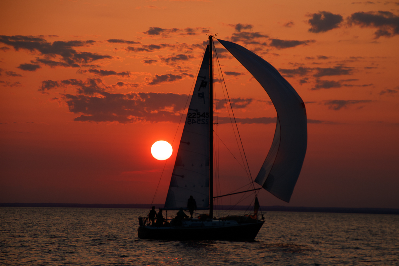   ~~  MSSA 2018 Racing