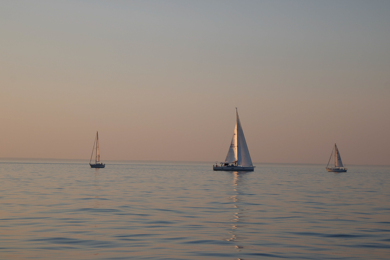   ~~  MSSA 2018 Racing