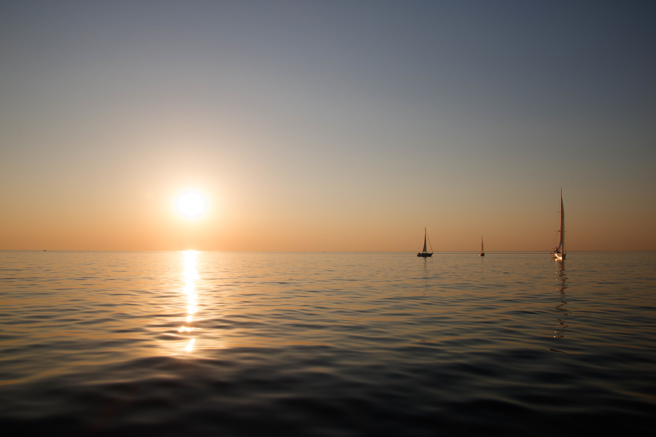   ~~  MSSA 2018 Racing