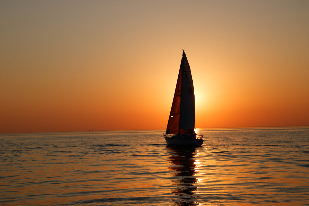   ~~  MSSA 2018 Racing